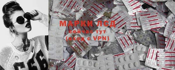 индика Новозыбков