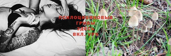 каннабис Алзамай