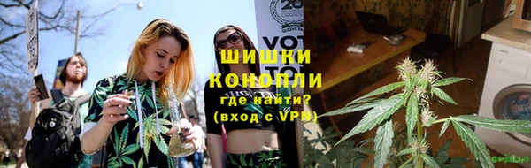 бошки Новодвинск