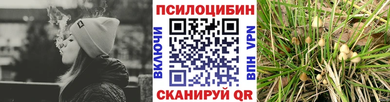 Купить где  Вольск  Псилоцибиновые грибы Psilocybine cubensis 